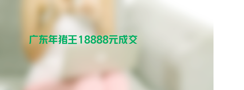 广东年猪王18888元成交：重434斤 传承民俗