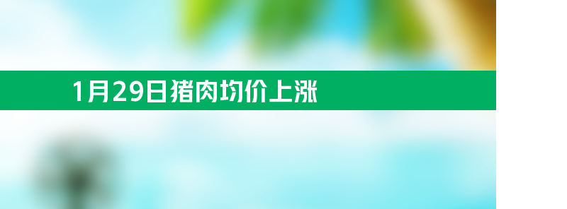 1月29日猪肉均价上涨 28种蔬菜平均价格升2.3%