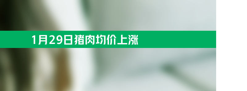 1月29日猪肉均价上涨 6种水果平均价格升1.1%