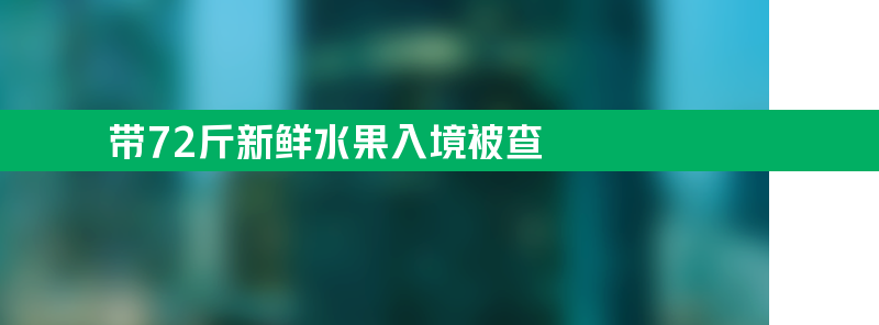 旅客带72斤新鲜水果入境被查 多品种重36.05公斤