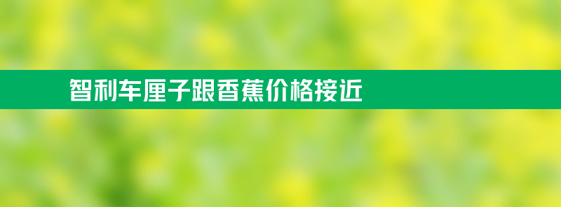 智利华人：车厘子跟香蕉价格接近 最便宜5.7元一公斤