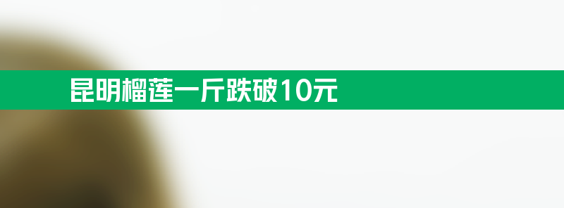 榴莲、西瓜开始大量上市 昆明榴莲一斤跌破10元