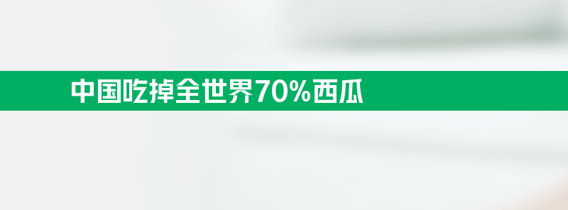 中国人吃掉全世界70%的西瓜 永远值得吃吃得起