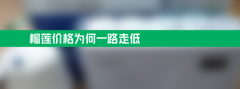 榴莲价格为何一路走低？市场供求关系变化