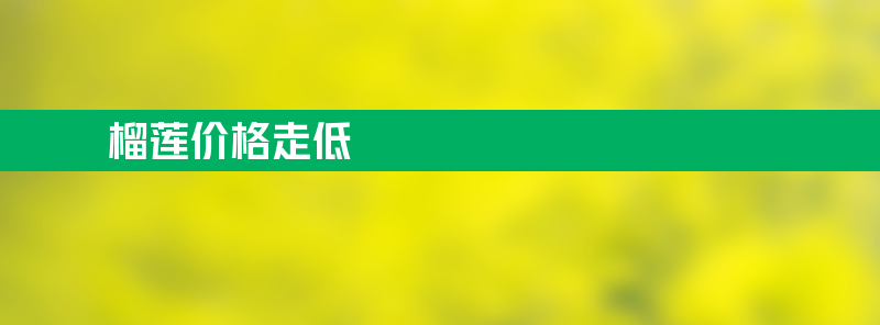 榴莲价格为何一路走低？供应高峰到来更加亲民划算