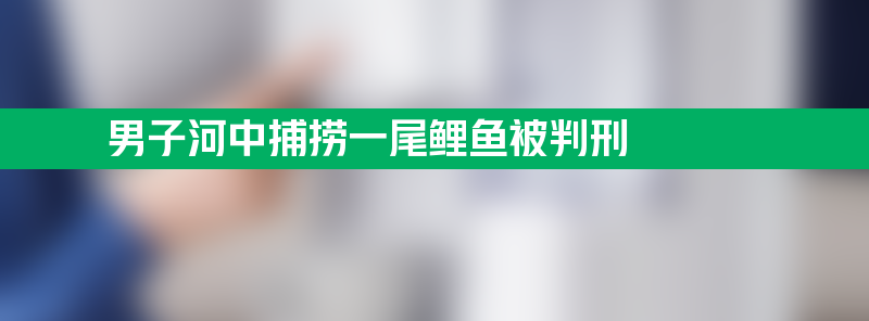 在禁渔区、禁渔期非法捕捞 男子河中捕捞一尾鲤鱼被判刑