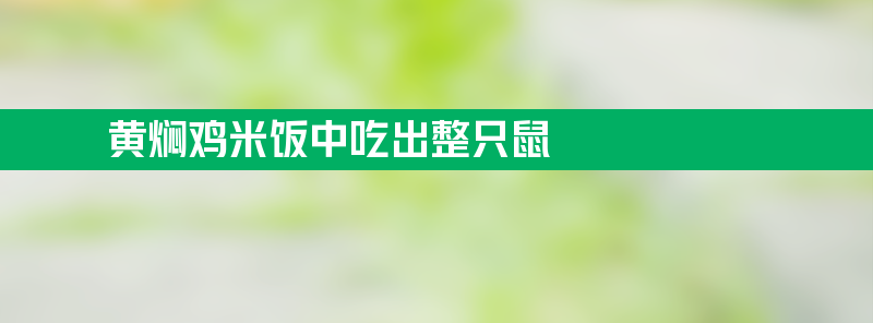 黄焖鸡米饭中吃出整只鼠？企业回应：调查结果将公布