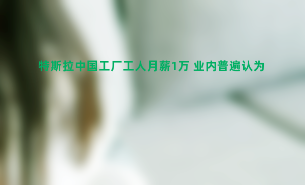 特斯拉中国工厂工人月薪1万 业内普遍认为不错