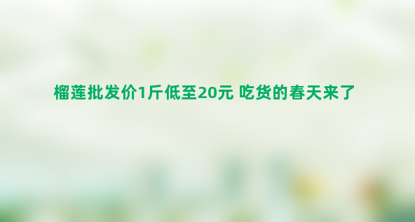 榴莲批发价1斤低至20元 吃货的春天来了