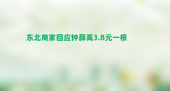 东北商家回应钟薛高3.8元一根 官方并无低价促销活动