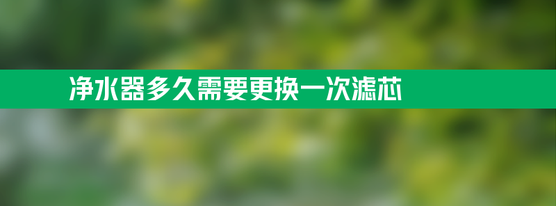 净水器多久需要更换一次滤芯？