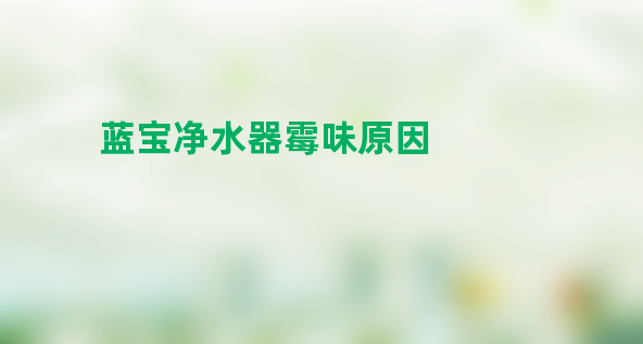 蓝宝净水器霉味原因 怎么解决？