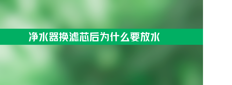 净水器换滤芯后为什么要放水？