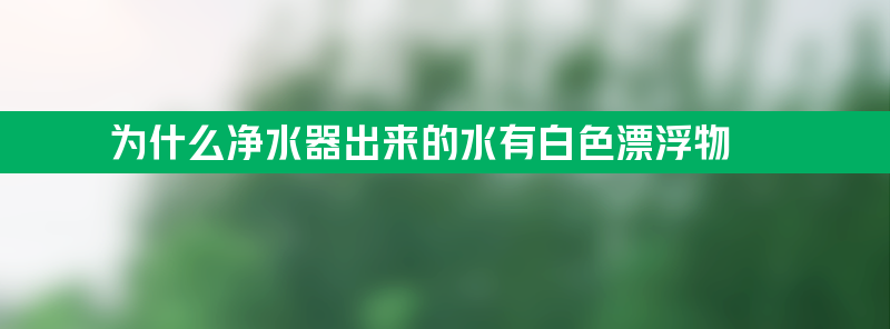 净水中发现净水器出来的水有白色漂浮物 为什么会这样？