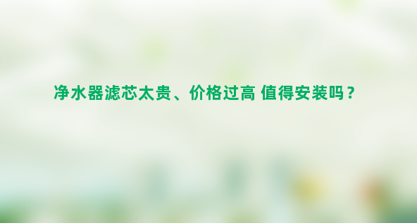 净水器滤芯太贵、价格过高 值得安装吗？