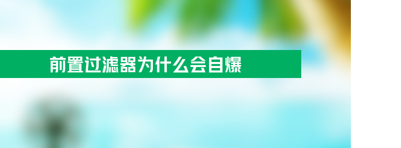 前置过滤器为什么会自爆？