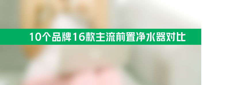 几百元至上千元10个品牌16款主流前置净水器对比