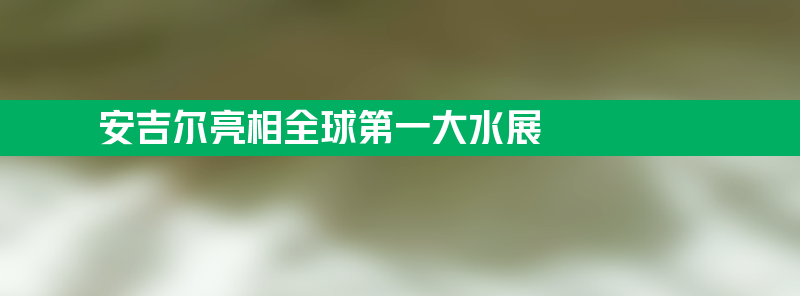 安吉尔亮相全球第一大水展 国货净水硬实力走向世界