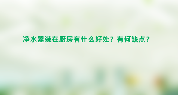 净水器装在厨房有什么好处？有何缺点？