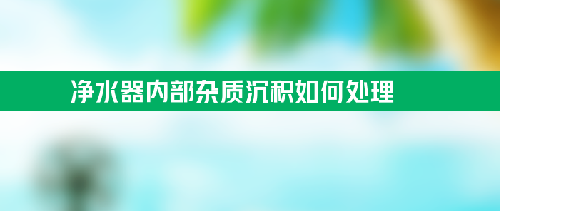 净水器内部杂质沉积如何处理？