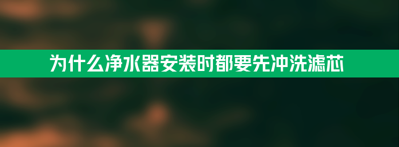 为什么净水器安装时都要先冲洗滤芯？