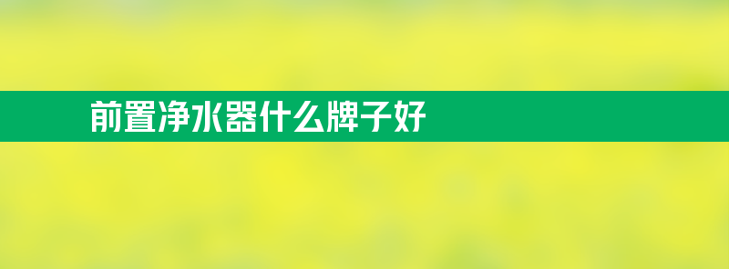 净水器前置是什么 前置净水器什么牌子好？