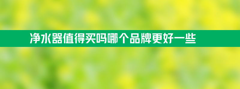 净水器值得买吗 净水器值得买吗哪个品牌更好一些