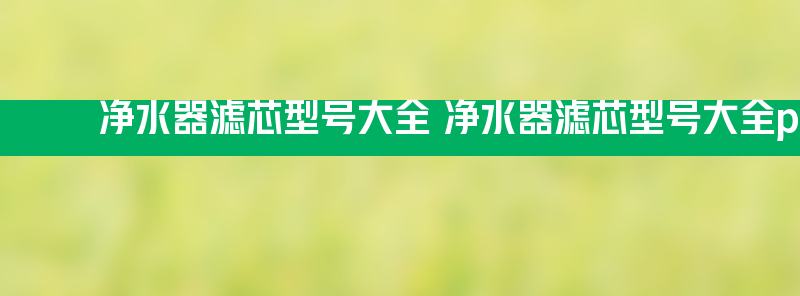 净水器滤芯型号大全 净水器滤芯型号大全ppc