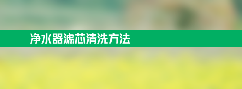 净水器滤芯清洗方法 净水器滤芯清洗方法和步骤