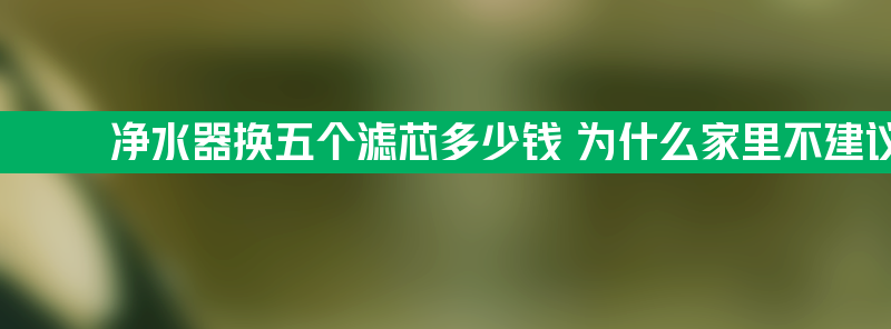 净水器换五个滤芯多少钱 为什么家里不建议安装净水器