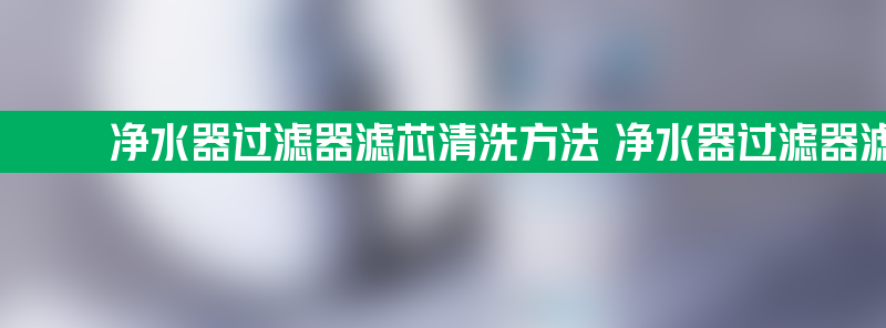 净水器过滤器滤芯清洗方法 净水器过滤器滤芯清洗方法方法教程