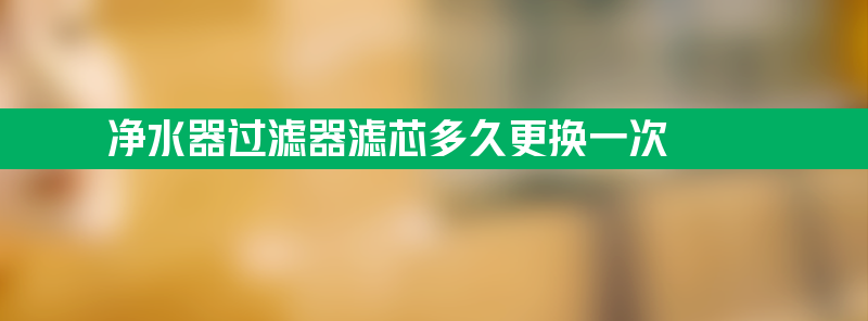 净水器过滤器滤芯多久更换一次 净水器过滤器滤芯多久更换一次比较好