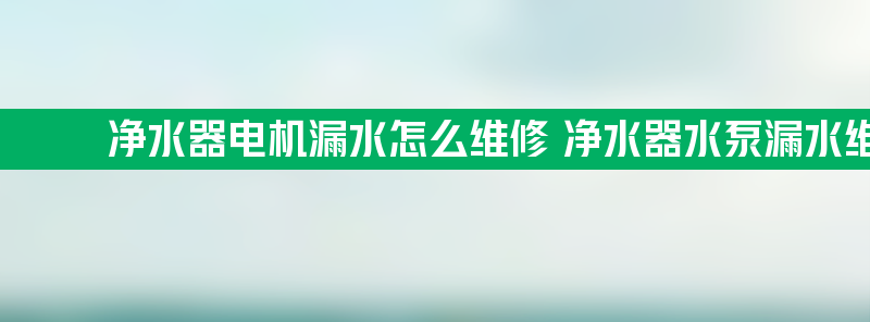 净水器电机漏水怎么维修 净水器水泵漏水维修方法