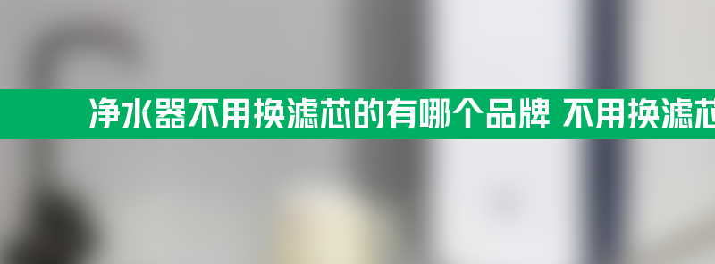 净水器不用换滤芯的有哪个品牌 不用换滤芯净水器十大名牌