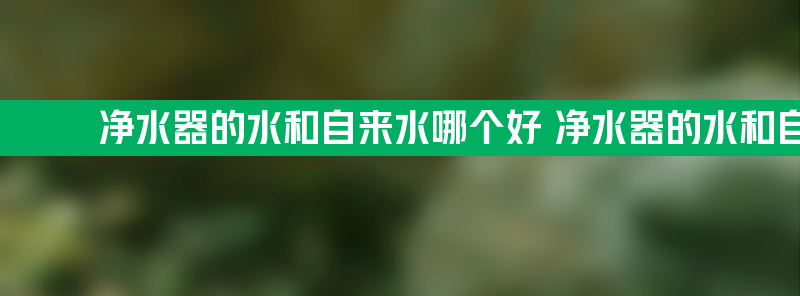 净水器的水和自来水哪个好 净水器的水和自来水哪个好用