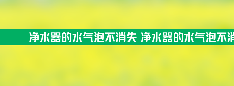 净水器的水气泡不消失 净水器的水气泡不消失什么原因