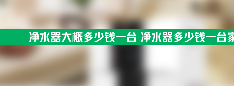 净水器大概多少钱一台 净水器多少钱一台家用的