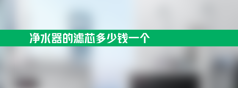 净水器的滤芯多少钱一个 净水器滤芯多少钱一个？多久换一次？