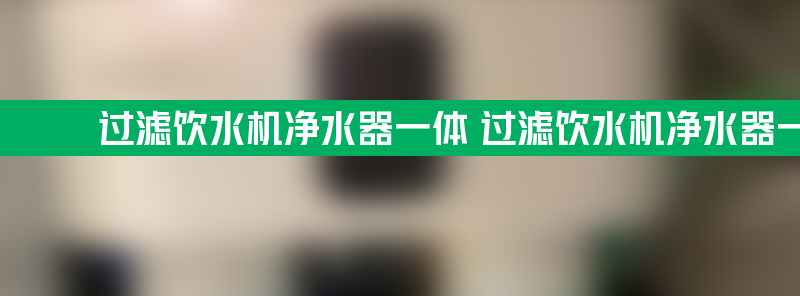 过滤饮水机净水器一体 过滤饮水机净水器一体家用