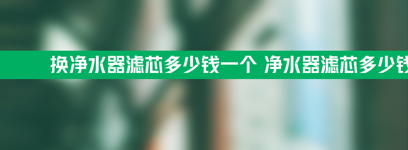 换净水器滤芯多少钱一个 净水器滤芯多少钱一套