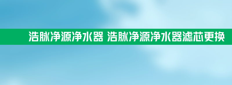 浩脉净源净水器 浩脉净源净水器滤芯更换