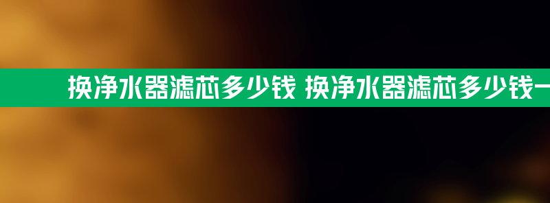 换净水器滤芯多少钱 换净水器滤芯多少钱一套