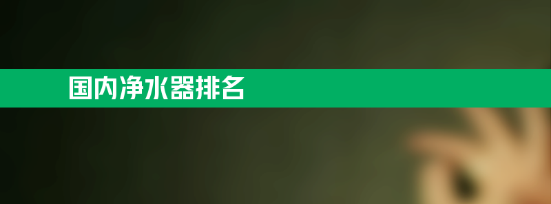 国内净水器排名 国内净水器排名榜