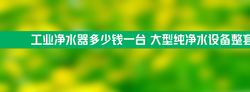 工业净水器多少钱一台 大型纯净水设备整套价格