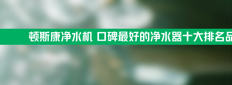 顿斯康净水机 口碑最好的净水器十大排名品牌