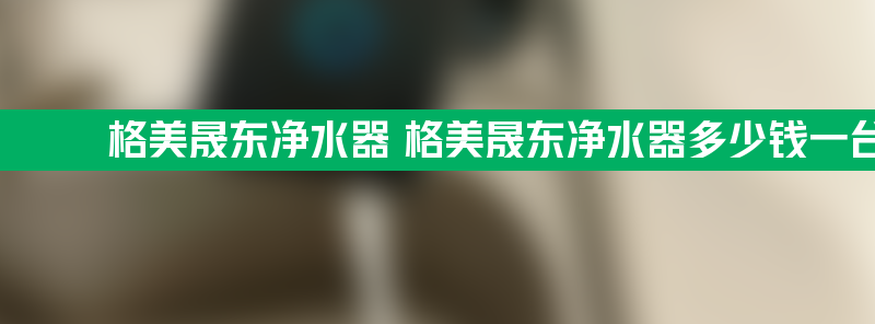 格美晟东净水器 格美晟东净水器多少钱一台