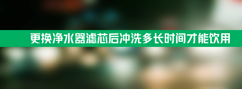 更换净水器滤芯 更换净水器滤芯后冲洗多长时间才能饮用