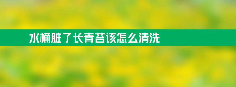 水桶脏了长青苔该怎么清洗？