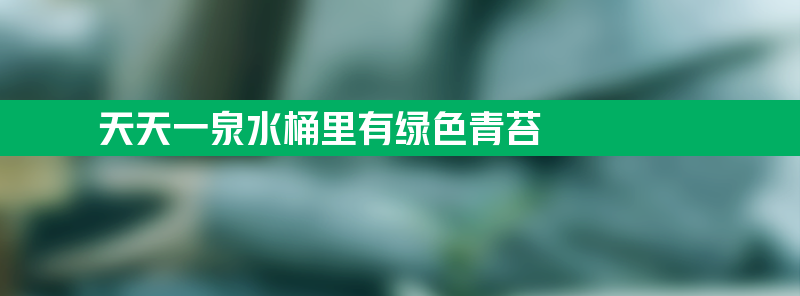 天天一泉水桶里有绿色青苔是怎么回事？