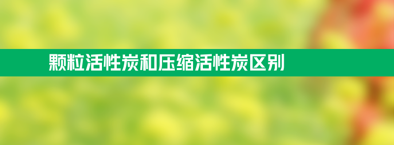 颗粒活性炭和压缩活性炭区别